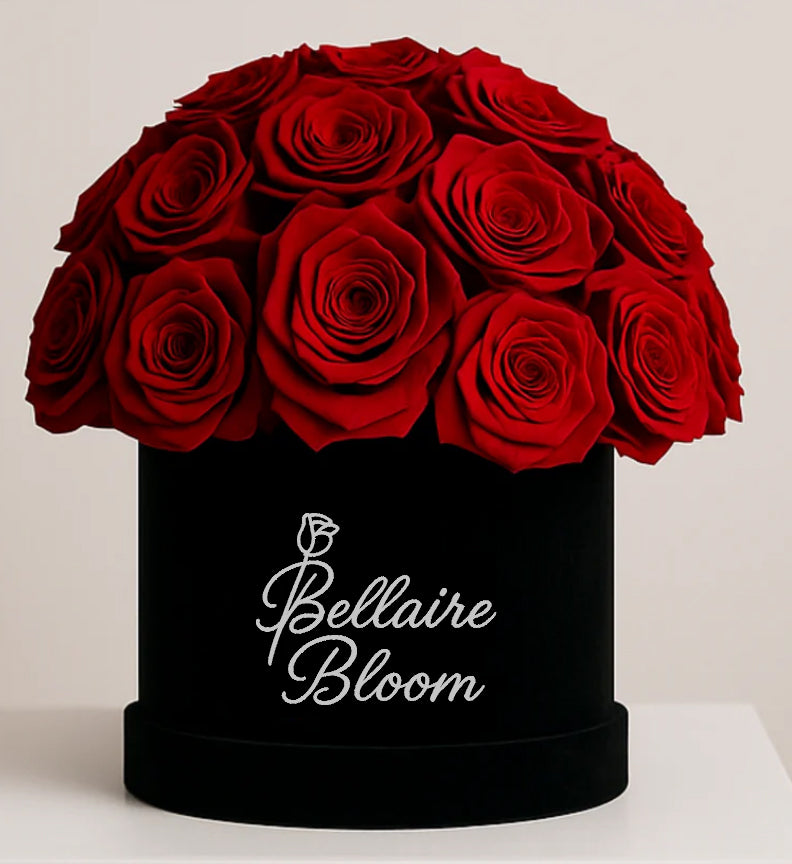 Bellaire Bloom Romance Maison